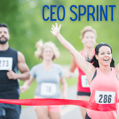 Get Ahead with CEO Sprints